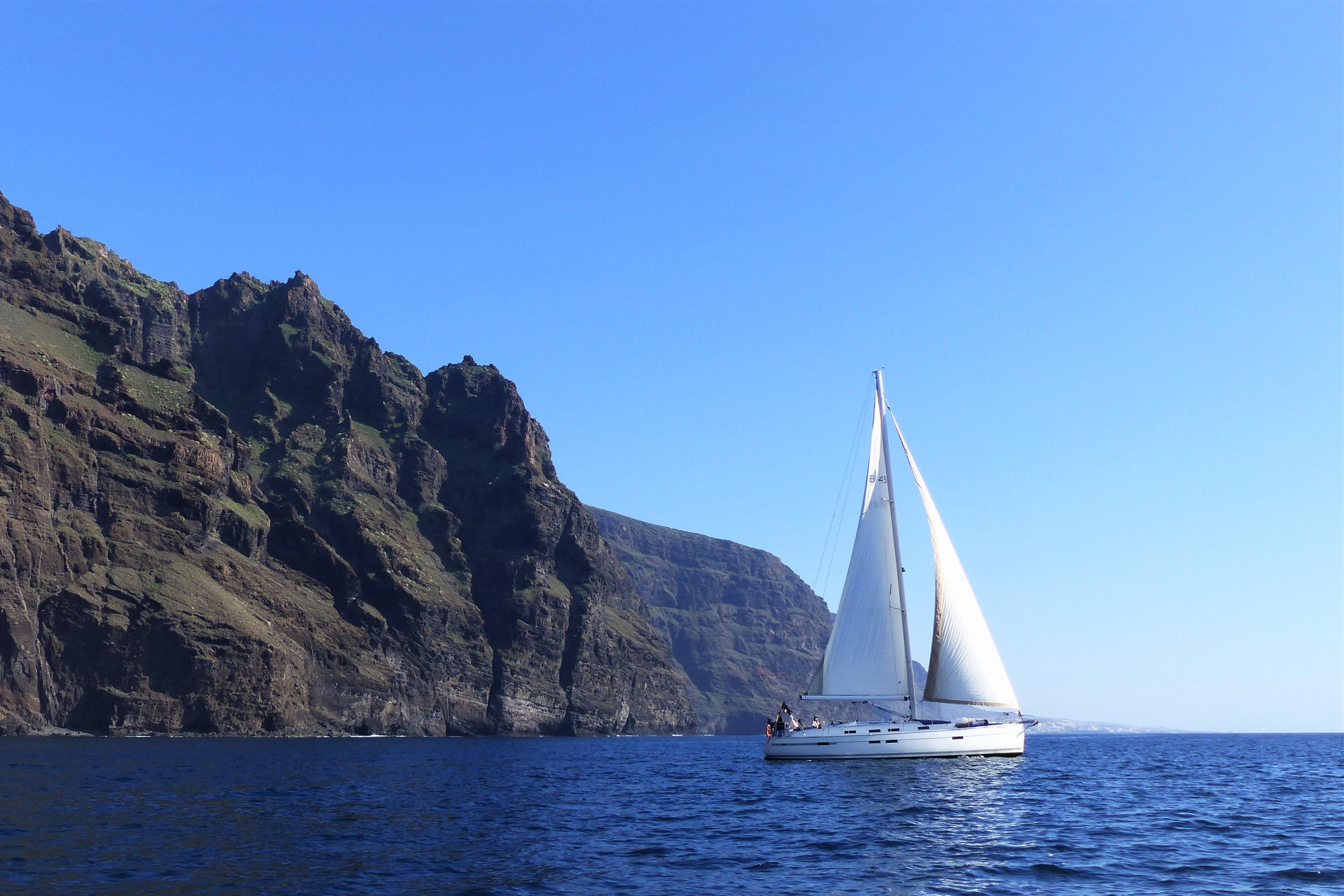 Whale Watching boat tour in Los Gigantes